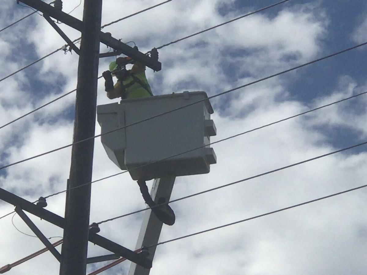 Life at the top...of the electric pole. Click to read article