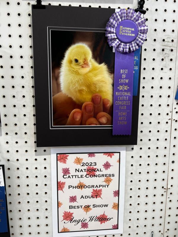Angie Wittmer's entry in Open Photography received the Best of Show Honor