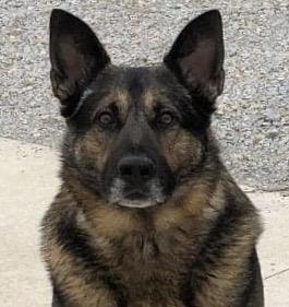 Gino member of the Vinton Police Department given special treat for Police Week