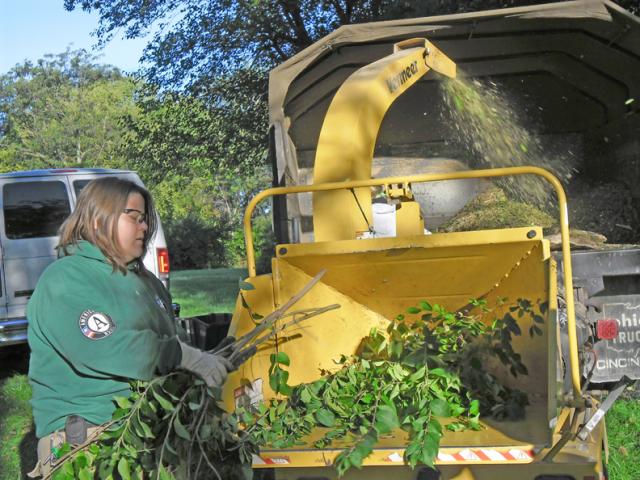 NCCC Team Leader Holly loading wood chipper with invasive honeysuckle.