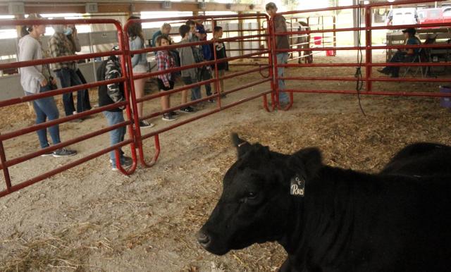 Animal Safety was among the topics at the Progressive Ag Safety on Saturday