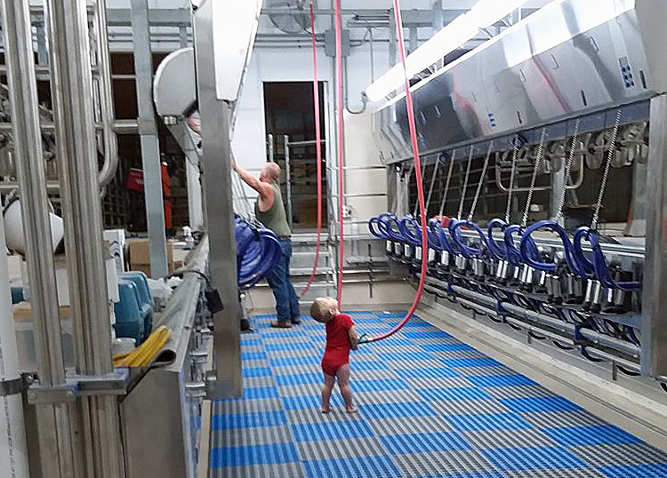 Owen Birker, pictured with his dad, Jeff, explores the brand new, 24-stall milking station that will see its first use at the new Birker dariy farm building on Thursday.