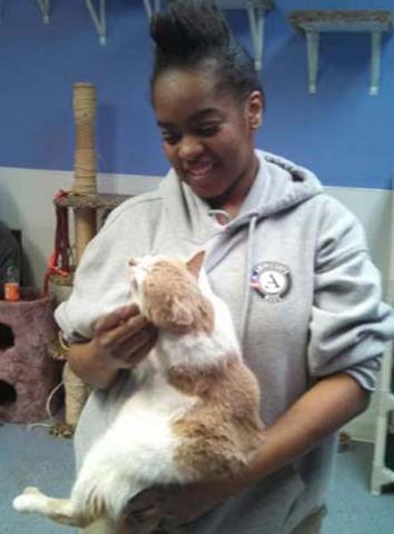 NCCC Member Jahbowha Newman attends to one of the cats at the Minot Humane Society animal shelter.