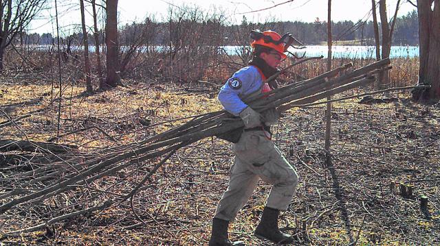 Alyse Cheyne hauls buckthorn to a brush pile.