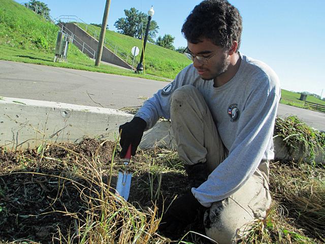 Corps Member Masuzyo Mhango digs out weeds at a bioswale along the greenway.