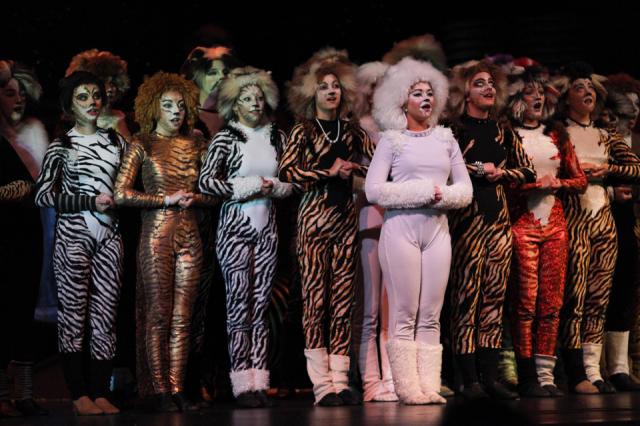 C. Andreesen, M. Springer, T. Noeller, E. Lippmann, B.Gerber, K. Hancock, E.Horst, B. Sauer