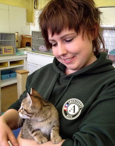 Hickory 3 Team Leader Megan Mullen working with one of the kittens at Rocky Mountain Feline Rescue.