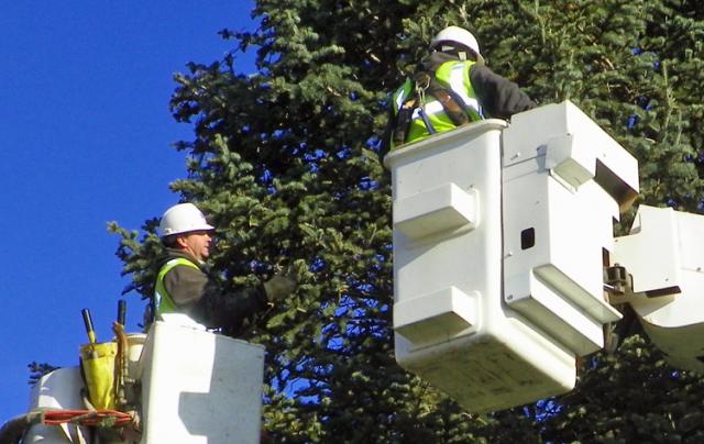 Jeff Kenney, left, and Mark Smith place strings of Christmas lights on the trees at the courthouse.