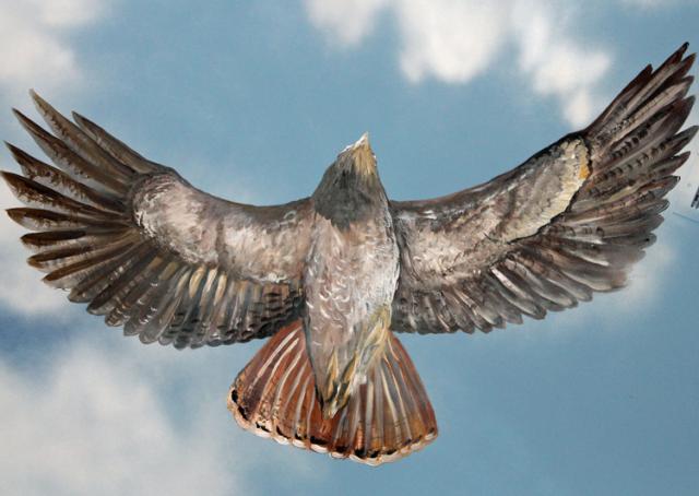 This hawk is one of many painted on the ceiling of the new Cafe de Klos restaurant in Vinton.