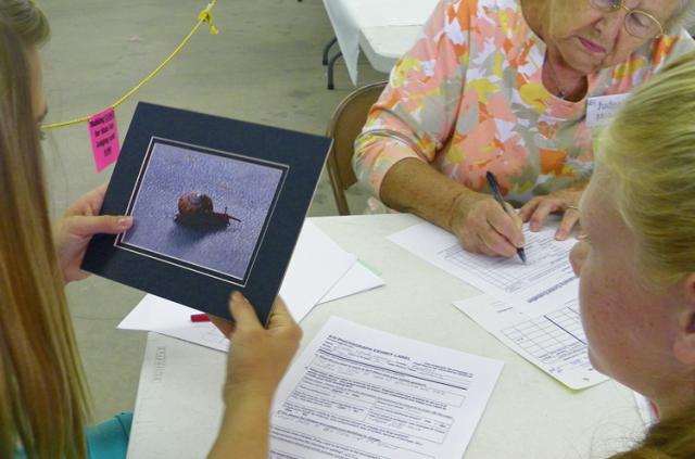 Dani Montgomery tells the judge about her photo of a snail.