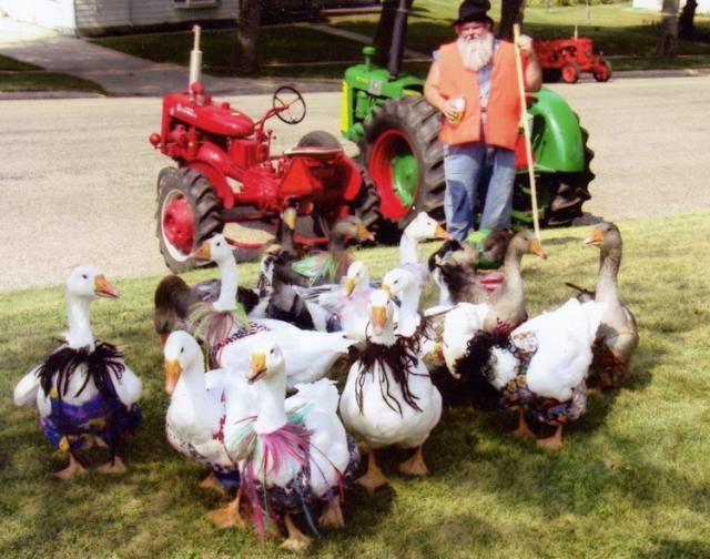 The Goose Man, Paul Messerschmidt, and his flock will perform during Party in the Park tonight.
