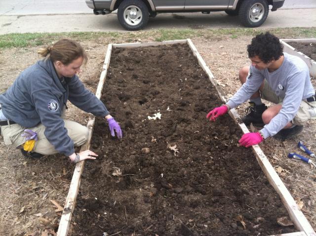 Julie Hankins and Tyler Austin dig holes to plant onions.