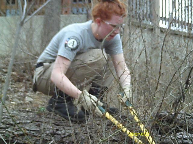 Moira Rose cuts down brush from the lakefront.