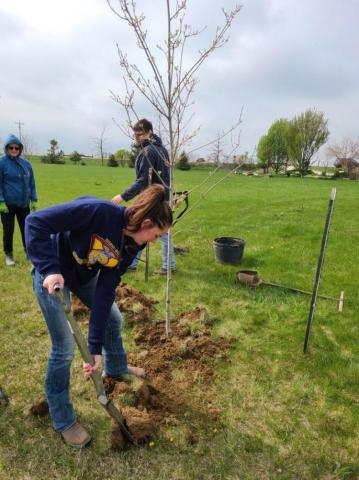 Area residents team up to plant trees in the Derecho damaged county