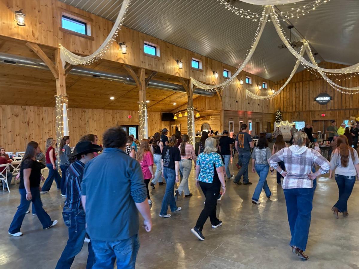 Article Thumbnail. Attendees enthusiastically learn a line dance from the instructor.
