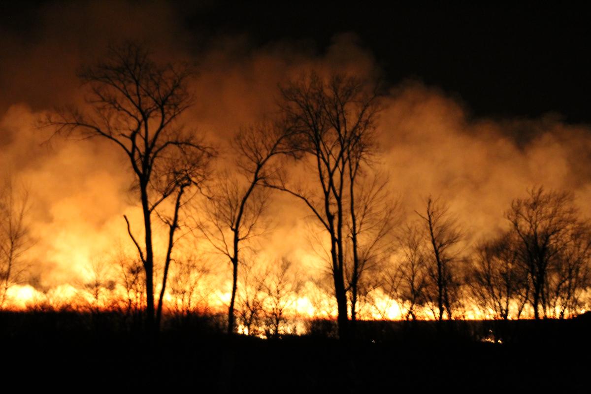A controlled burn near Urbana looked more serious than it really was.