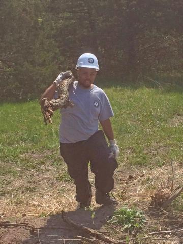 NCCC member Al carrying a log to clear the trails at Camp Luther.