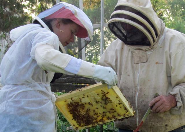 Macy Arbuckle and her mentor Dennis Nielson examine one of her hives.