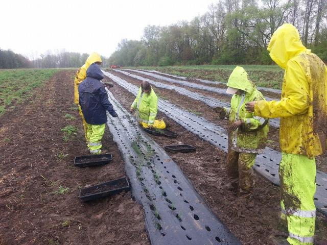 Rain never stops the team, families are looking forward to fresh food!
