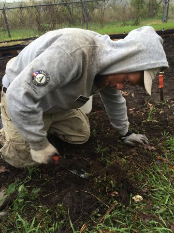 Dakota Patterson from Bethel, Maine weeding in the nursery garden