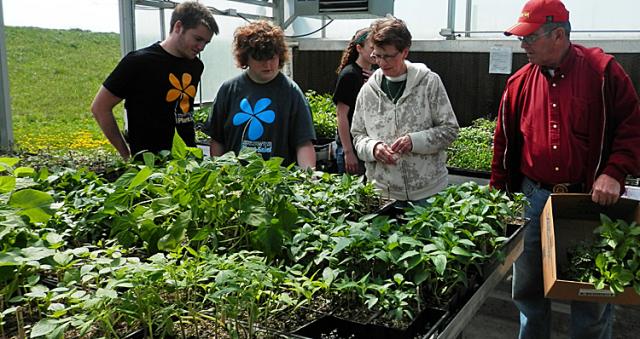 Plant sales and work in the greenhouse continue through summer for VS FFA members.