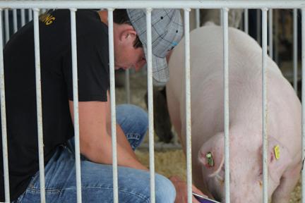 The limited 2020 Benton County Fair is now in progress!