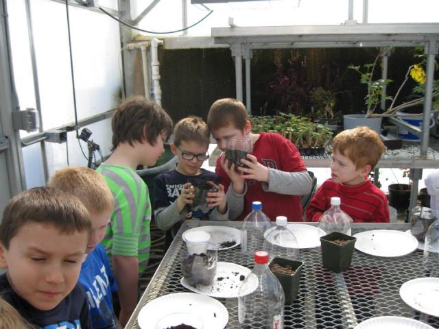 VSHS ag students and Naturalist Karen Phelps helped first graders make terrariums Friday.