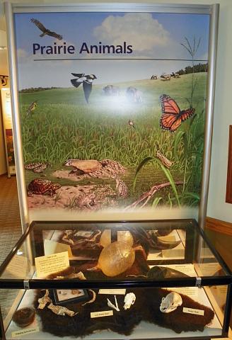 The public is invited to see the 'Tallgrass Prairies