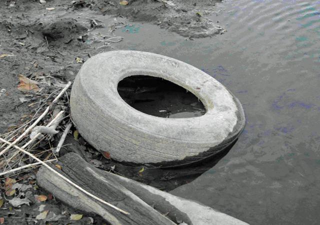 River RATS hope to clean up messes like this Aug. 11 along the Cedar River.