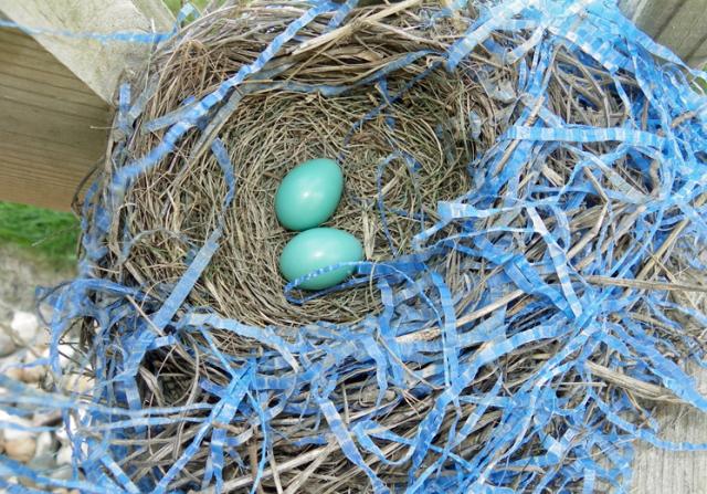 A bird's nest seemingly includes a celebratory ribbon.
