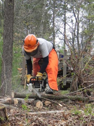Kim Vegliante cuts up some wood