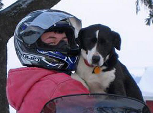 Sadie, this border collie mix, is missing; can you help find her?