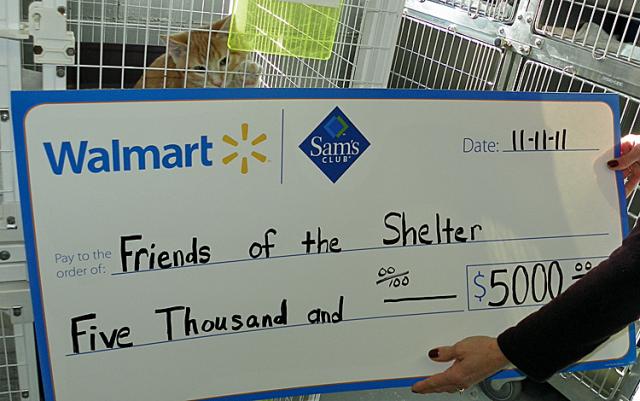 A kitten at the Vinton Animal shelter tries to paw the check from Sam's Club.