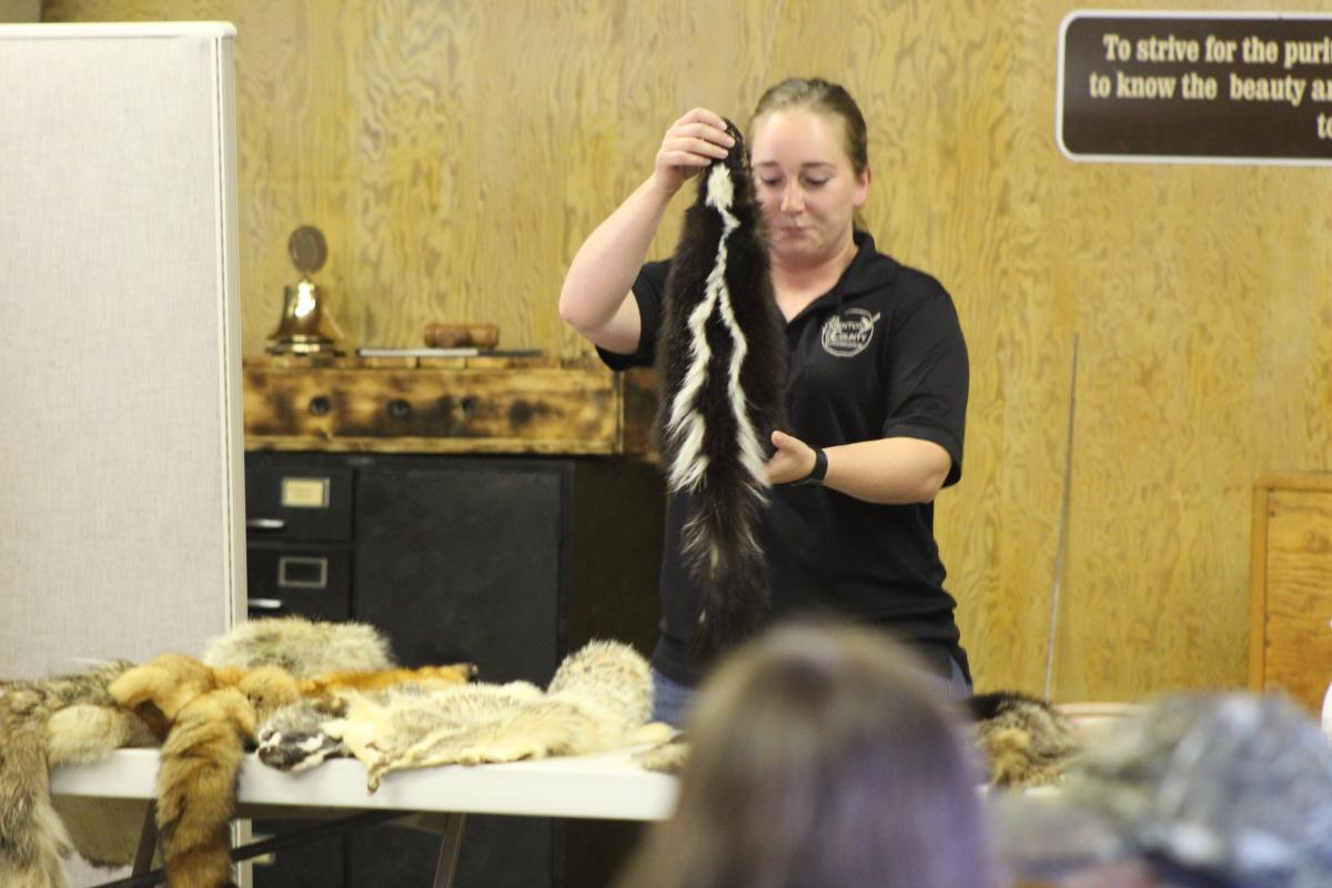 Faith Henrichs, Benton County Conservation Naturalist displays a skunk pelt at JAKES Day