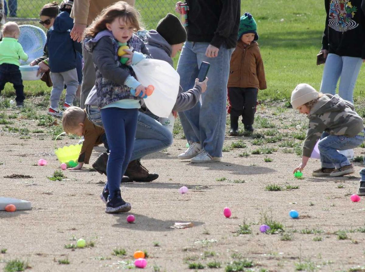 So many eggs so little time...and the bag won't stay open in the wind!. Click to read article