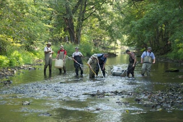 Biologists use portable electroshocker to survey fish populations in Rock Creek, tributary of the CR