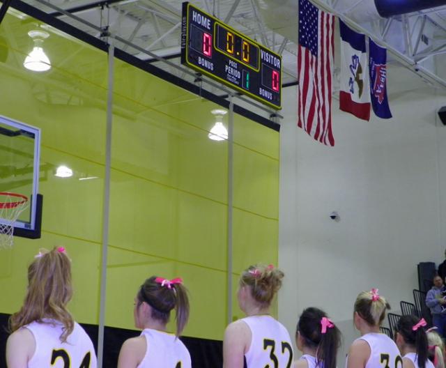Vikettes wore pink ribbons in their hair to honor breast cancer survivors.