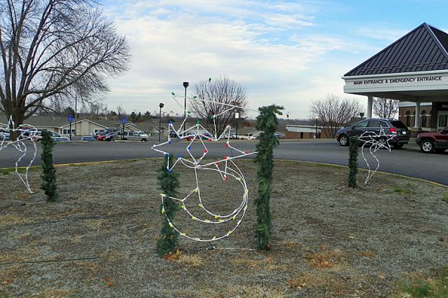 The Tree of Lights campaign tree this year is replaced by lighted decorations.