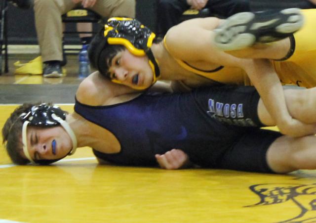 Max Wehage will compete in the state tourney this week.